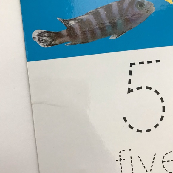 Numbers Counting Writing Boards - Picture 6 of 15